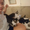 온정민박 | 30시간의 여름휴가 통영 비진도 당일치기 물놀이