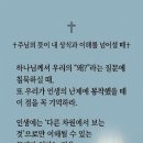 주님의 뜻이 내 상식과 이해를 넘어설 때 이미지