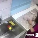 대구축산 동물병원 이미지