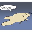 세탁특공대 이미지