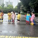 유두절 구슬 이미지