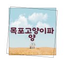 목포고양이파양 걱정 끝 행복 시작