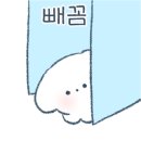 유폴24시 애견셀프목욕 이미지