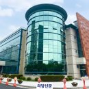 천보초 이미지