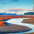 "세계 5대 갯벌이 우리나라에 있었어?"... '제1호 국가해양생태공원'으로 지정된 명소 이미지