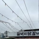 청춘꿀벅지닭갈비 - 파주시 시청로 14 | 청춘꿀벅지닭갈비