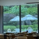 689 | [파라스파라 서울 맛집] 파크689 수영장뷰 식당, 런치 코스 후기