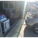 허니모터스 이미지