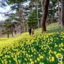 형권이네농장 | 개심사(開心寺)