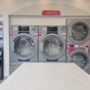 풀잎속의생명 이미지