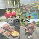 선지농장 | 남양주 더드림딸기 1농장 방문 내돈내산 (15개월 아기랑 딸기체험 + 놀이존 )