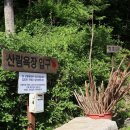 홍일상사 이미지