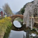 창녕군창녕읍옥천보건진료소 이미지