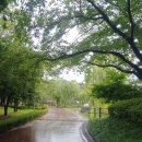 용산가족공원 이미지