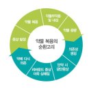 안정제 네이버블로그