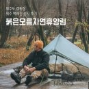 제주도 캠핑장 붉은오름자연휴양림 캠핑 제주 백패킹 성지 후기
