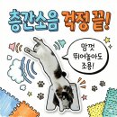 지축세탁소 | 고양이 우다다 층간소음, 퍼즐매트 깔았다가 후회한 썰 (매트 유목민 탈출기)