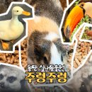 219 | 동탄 실내데이트로 추천하는 주렁주렁 동물원 동탄점 다녀왔는데 더웠던 후기