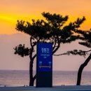 코레일 레일크루즈 해랑 기차여행 마지막날 (정동진.태백)
