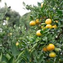 주식회사 자연바이오 이미지