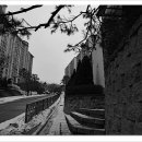 민들레여행 이미지