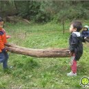 숲어린이집 이미지