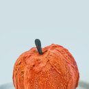 윙크성형외과의원 | [암밍아웃] 주간일기 ep.12