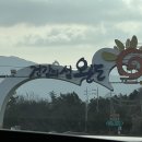 완도CAR#