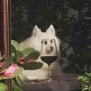 천안역지하상가 주차장 화장실 이미지