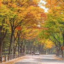 목동동로1길 이미지