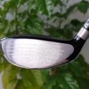 골프닥터임팩트 이미지