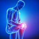 초록비타민 이미지