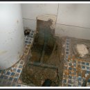 목포삼학초등학교 이미지