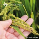 인기농장 이미지