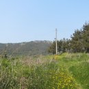 평사마을회관 이미지