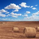 만사농장 이미지