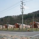 청송캠핑장 이미지