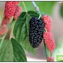 사계절양품 이미지