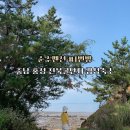 충남 홍성 천북굴단지 감성 숙소 추천 궁리항 순수펜션 #1번방