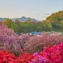 완산-165 네이버블로그