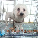 안정택동물병원 이미지