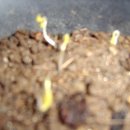 갈골농장 이미지