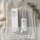 은율스토어 | 은율 PDRN 앰플 효과 정리, 제대로 바르는 사용방법과 추천 기준