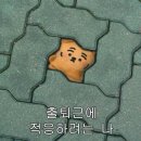 서원구청 구내식당 자판기 | 마케팅 부트캠프/[디지털 마케터 취업 준비] 도와세움 디마에 95기 #2(1주차 day2-4)