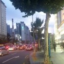 태화삼거리 ~ 태화우성아파트 입구 이미지