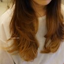 컷트와파마의만남