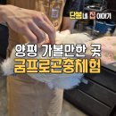 기승농장 | 아이와 교감하는 따뜻한 시간, 양평실내동물원 굼프로농장 방문기