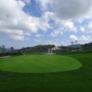 오투골프 이미지