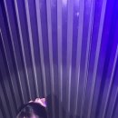 모모(MOMO) 이미지