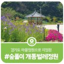 경기도 마을정원으로 지정되어 있는 임초리 숲풀이 개똥벌레정원